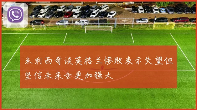 米利西奇谈英格兰惨败表示失望但坚信未来会更加强大