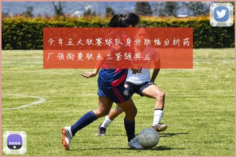 今年五大联赛球队身价跌幅分析药厂领衔曼联米兰紧随其后
