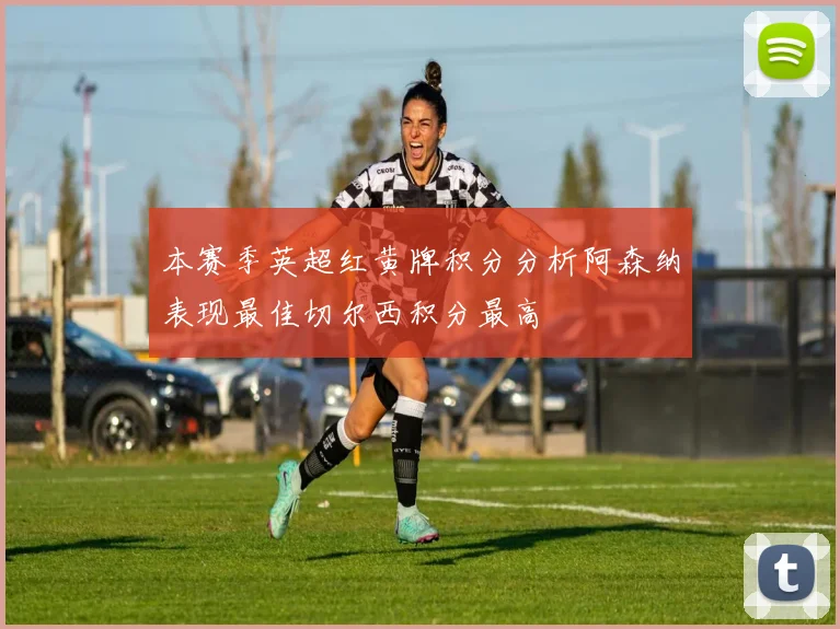 本赛季英超红黄牌积分分析阿森纳表现最佳切尔西积分最高