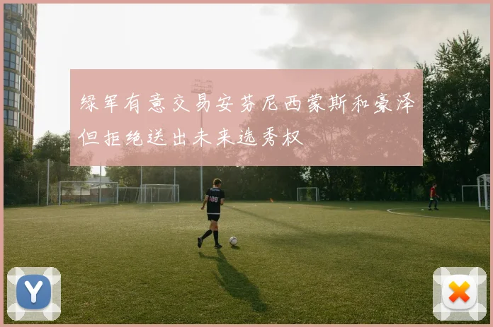 绿军有意交易安芬尼西蒙斯和豪泽但拒绝送出未来选秀权
