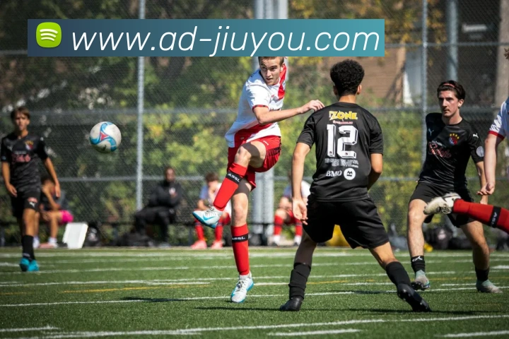 App Interface Preview