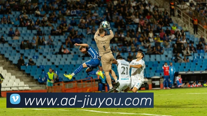 九游体育APP 封面图